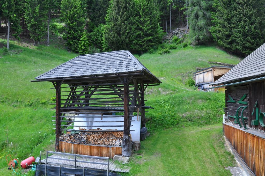 Апартаменти Almen-Kraeuter-Oberreiter Dellach im Drautal Екстер'єр фото
